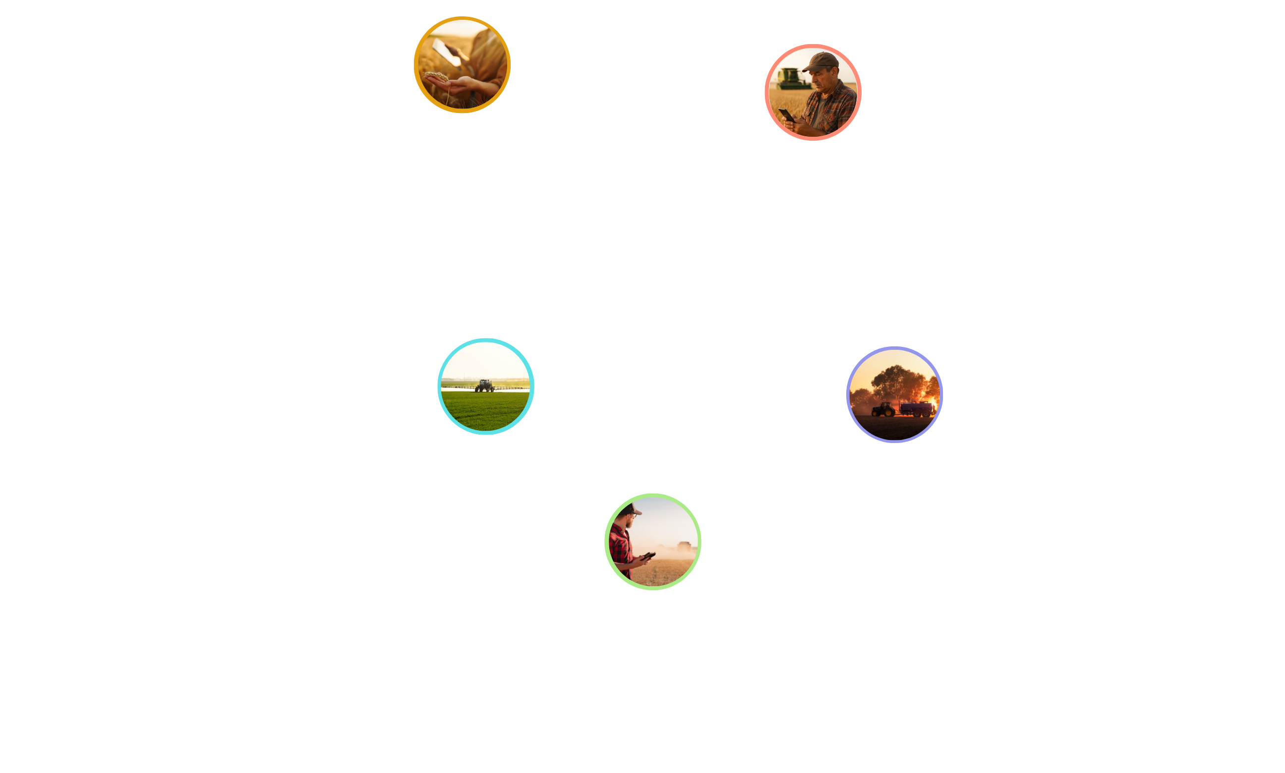 Layer